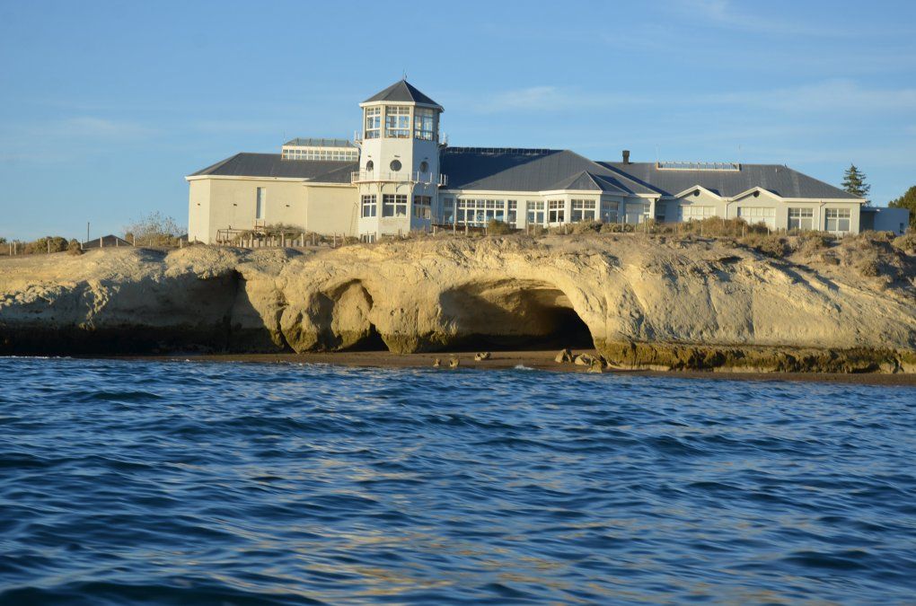 Vacaciones de invierno en Chubut: el Ecocentro de Puerto Madryn es un interesante espacio con propuestas educativas sobre el mar patagónico que te espera para que puedas disfrutar en familia.