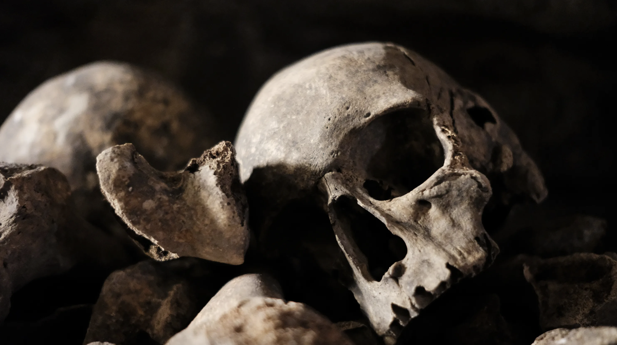 Una de las tendencias del sector que más auge está teniendo en todo el mundo es el turismo dark.