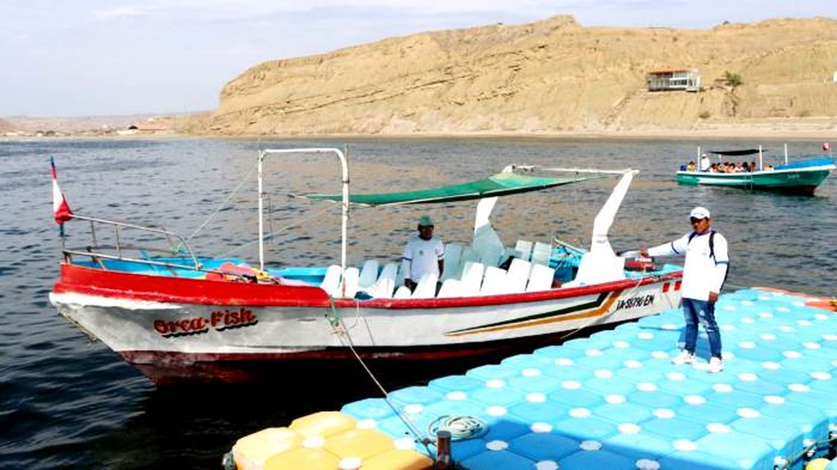 Se espera que el Gobierno Regional de Piura brinde todo el apoyo y soluciones para que el avistamiento sea exitoso. - Ladevi Medios y Soluciones Se espera que el Gobierno Regional de Piura brinde todo el apoyo y soluciones para que el avistamiento sea exitoso.