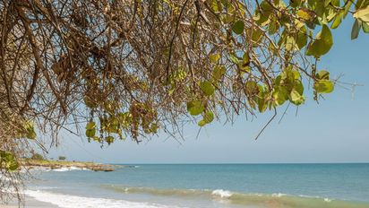 Hotel Cartagena Plaza, propiedad de EM Hotels, y su estrategia WE Wedding & Events hacen realidad los mejores momentos.