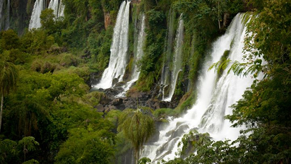Actividades dentro del Parque Nacional Iguazú