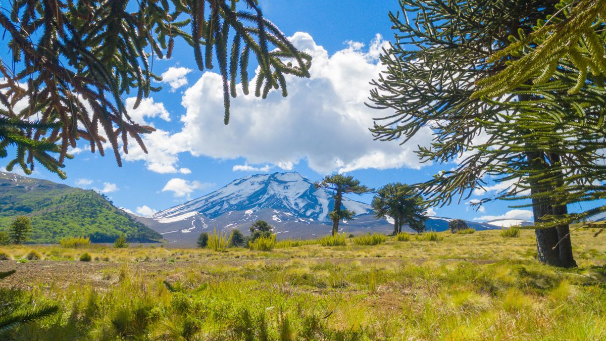 Malalcahuello combina termas, bosques y paisaje cordillerano en el sur de Chile.