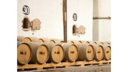 Aventuras pisqueras en el Elqui