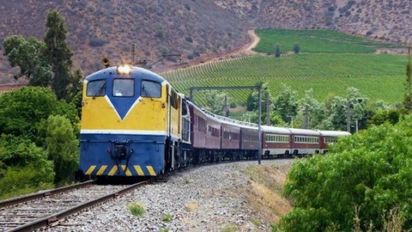 Elige la viña que más te agrade y disfruta del Tren Turístico 2024.