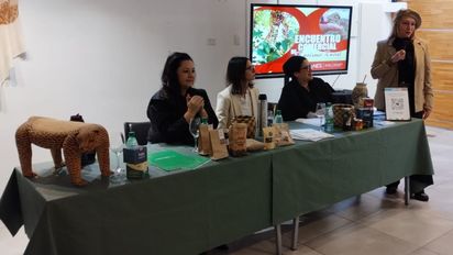 El IPEC y la Subsecretaría de Turismo de Misiones desarrollaron el Mapa de Turismo Rural de la provincia.