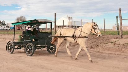 Colonia Menonita de La Pampa, el increíble viaje a otro mundo sin salir de Argentina