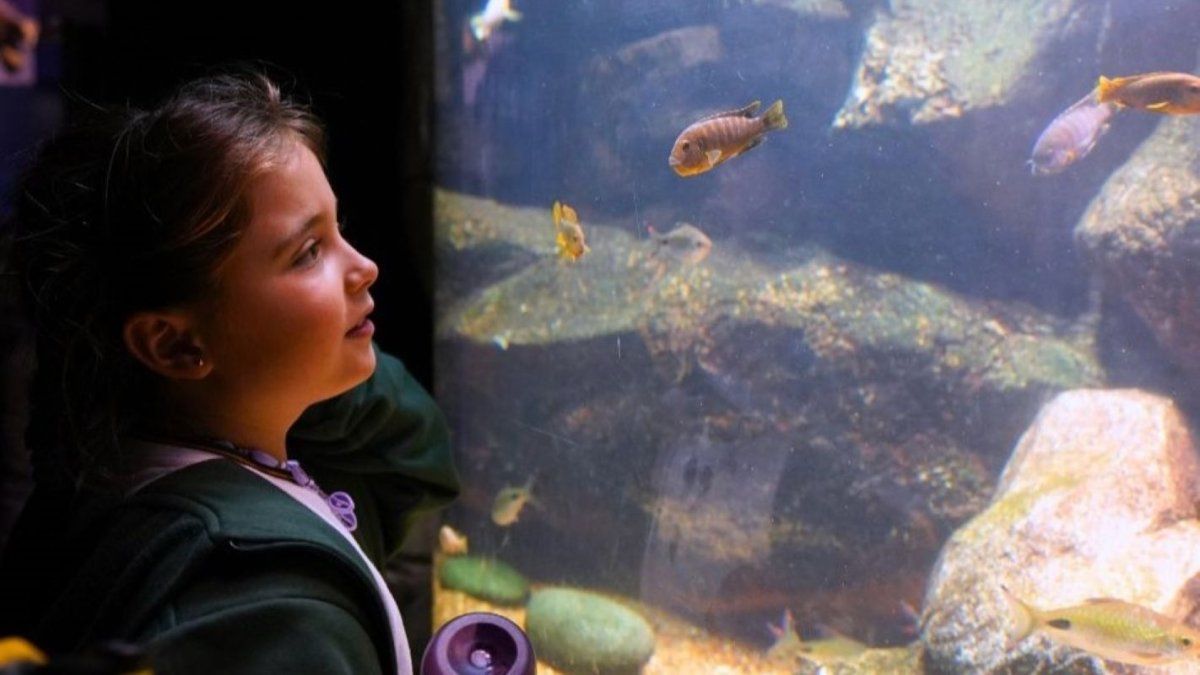 Aprovechá los descuentos en entradas para Temaikèn en estas vacaciones de invierno.