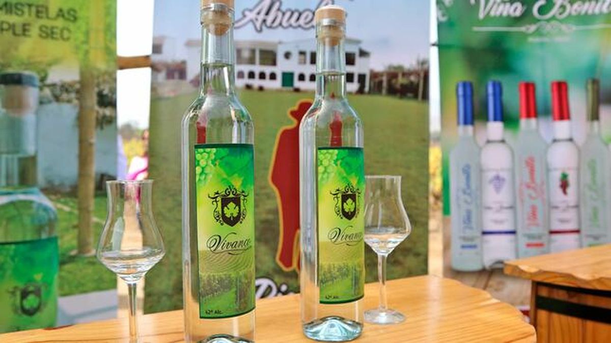 Pisco. - Ladevi Medios y Soluciones Pisco.