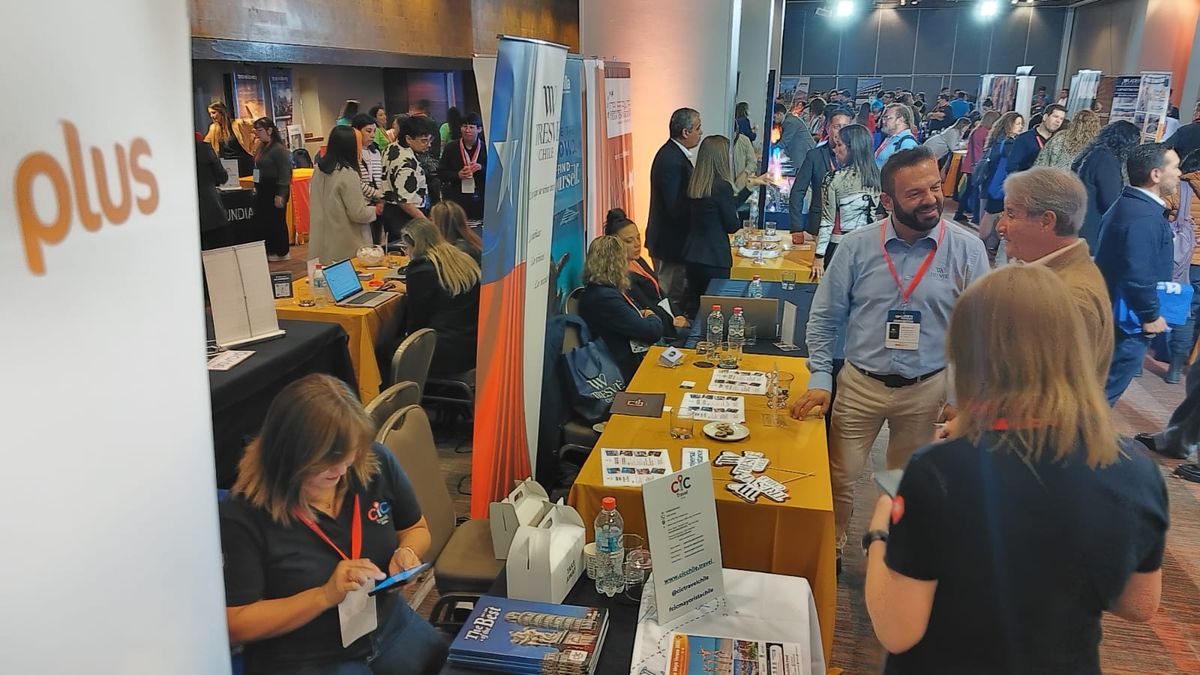Público en el salón Los Volcanes durante el Ladevi Workshop. 