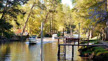 Escapadas de un día: ¿Qué hacer en el delta del Tigre?