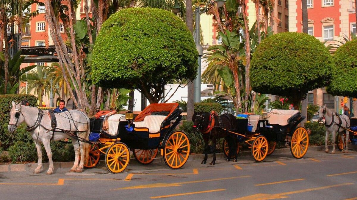 Carruajes a caballo esperando por turistas para realizar su paseo.