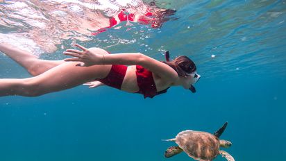 Puerto Rico: propuestas de ecoturismo para descubrir las numerosas maravillas naturales de la isla