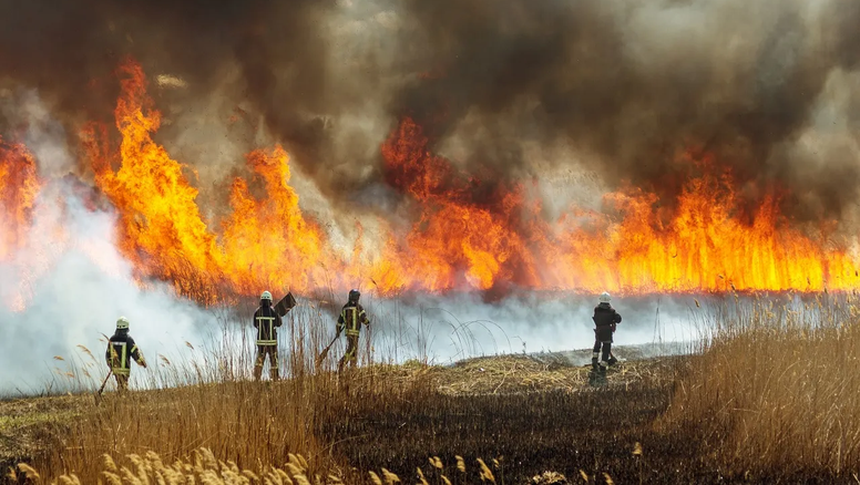 Los incendios se concentran en las regiones de&nbsp;Ñuble, Biobío&nbsp;y&nbsp;Araucanía.&nbsp;