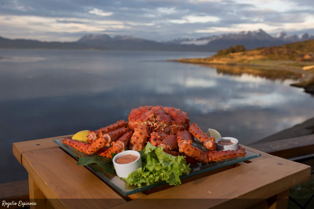 Los sabores más ricos de la Patagonia estarán en un evento con degustaciones gratuitas y los mejores chefs de la región.