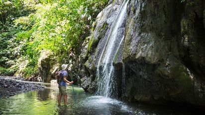 Maravillas naturales de Colombia que renacen tras la paz: lugares antes inexplorados ahora florecen como destinos de ecoturismo y conservación ambiental.
