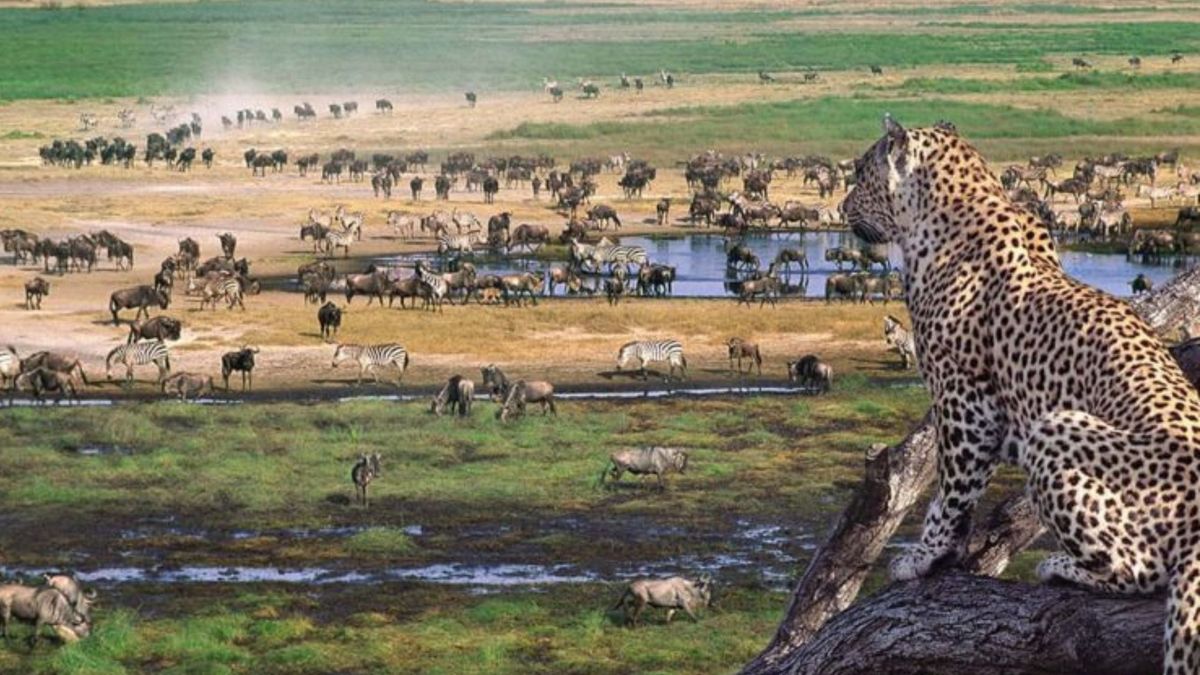 África cuenta con hermosos sitios naturales perfectos para conocer.