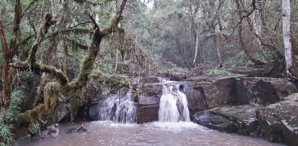 Parque Nacional Campo San Juan.