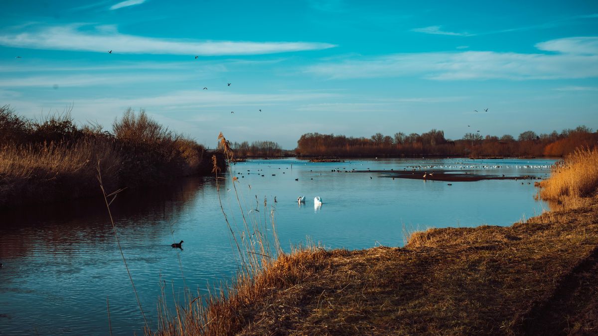 Los humedales de Colombia son escenarios de vida y sostenibilidad que merecen ser protegidos y admirados.