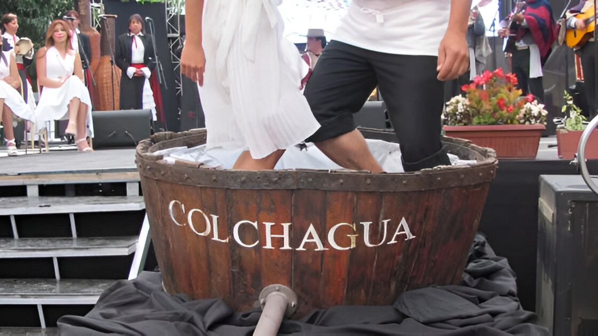 Se acerca la celebración del vino en la&nbsp; Fiesta de la Vendimia de Colchagua, revisa acá todos los detalles