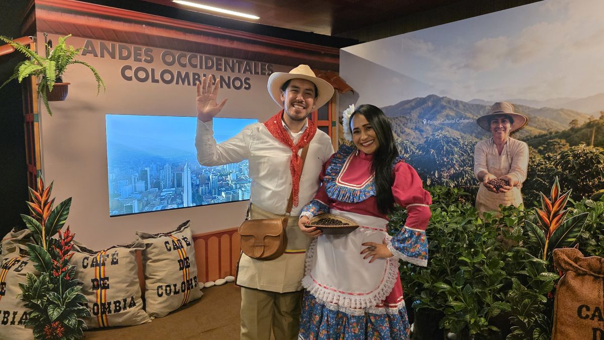 Andes Occidentales. Andes Occidentales.