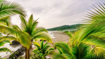 Bahía Solano cuenta con fascinantes playas cada una con algo mágico por descubrir. Bahía Solano cuenta con fascinantes playas cada una con algo mágico por descubrir.