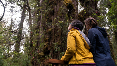 World Travel Awards: Chile renueva distinción como 