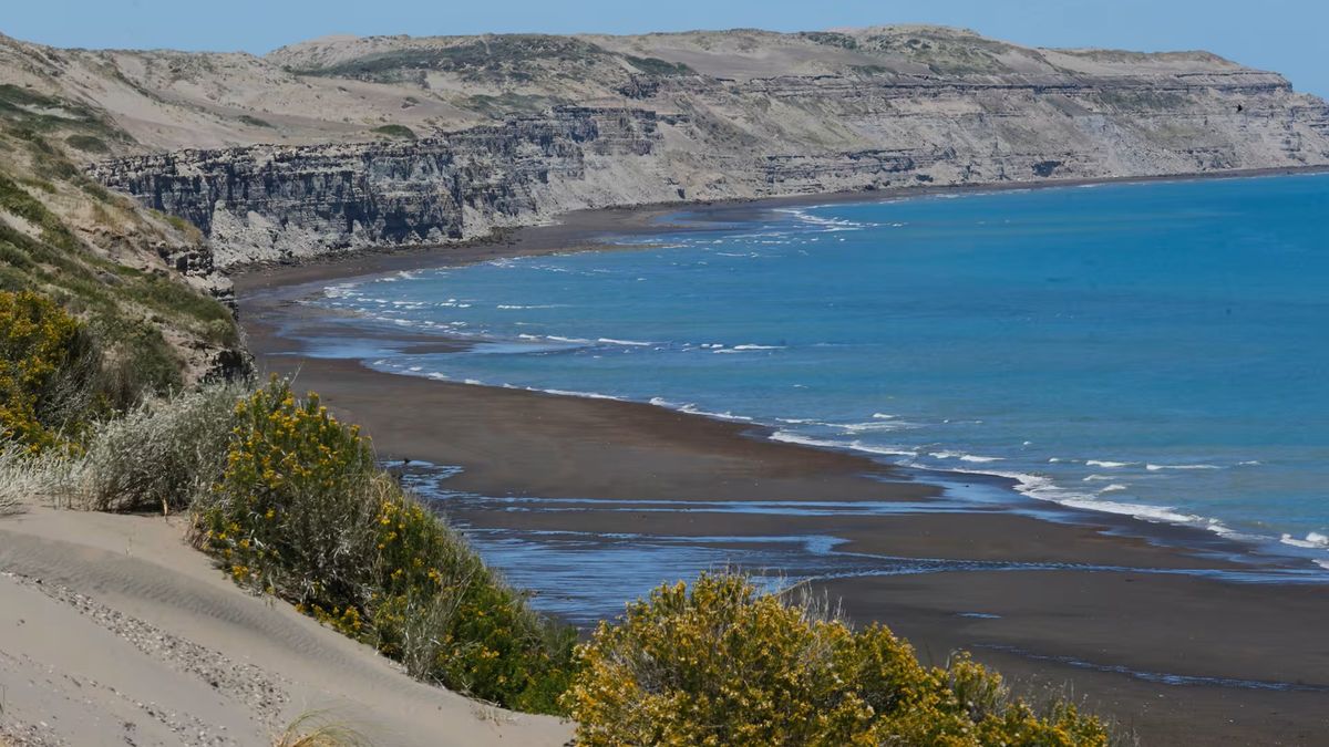 Verano en Río Negro: Bahía Creek ofrece un espacio muy agradable para huir de la rutina y volver con las energías recargadas. 