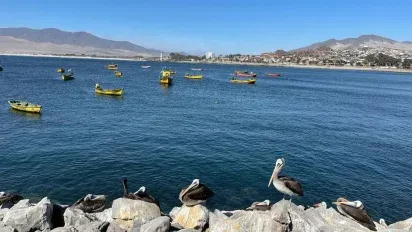 Verano: los 10 destinos nacionales con menor ocupación hotelera