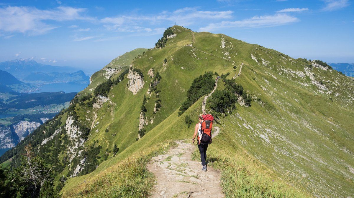 Uno de los entornos naturales que pretende cuidar Green & Human mano a mano con la ONU.