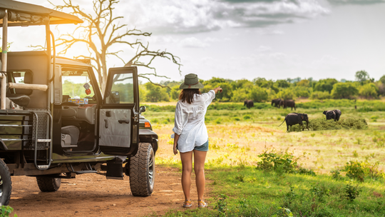 África: 5 cosas que deberías saber antes de un safari