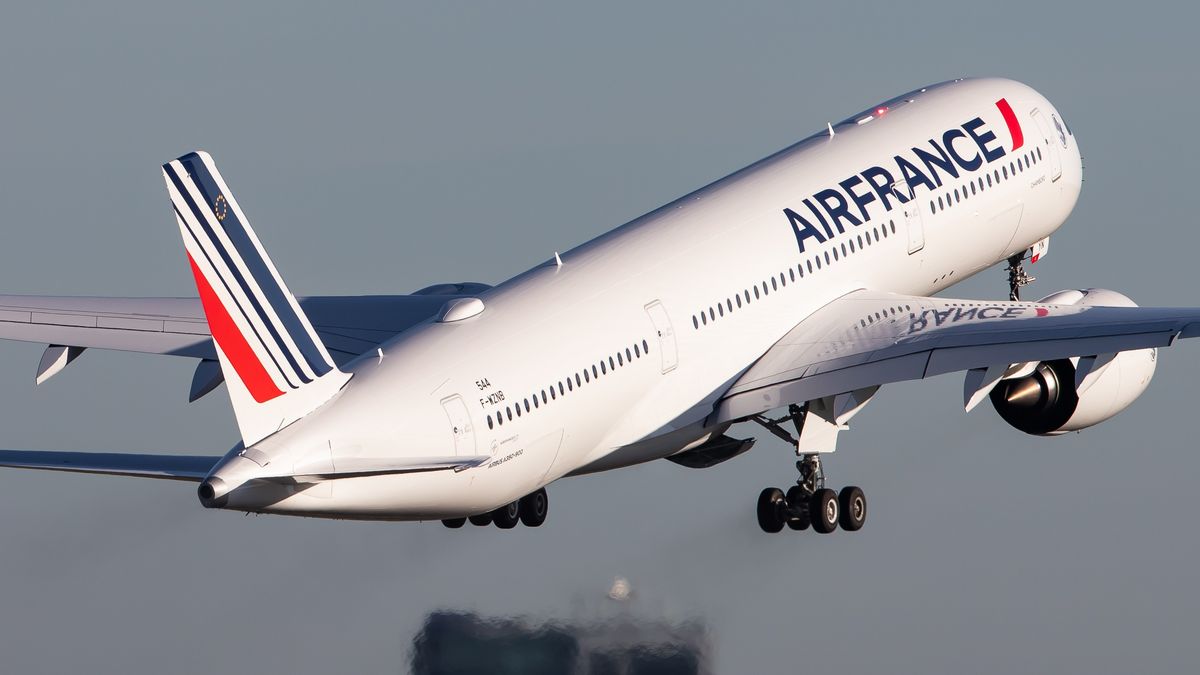 Uno de los aviones de la flota de Air France. - Ladevi Medios y Soluciones Uno de los aviones de la flota de Air France.
