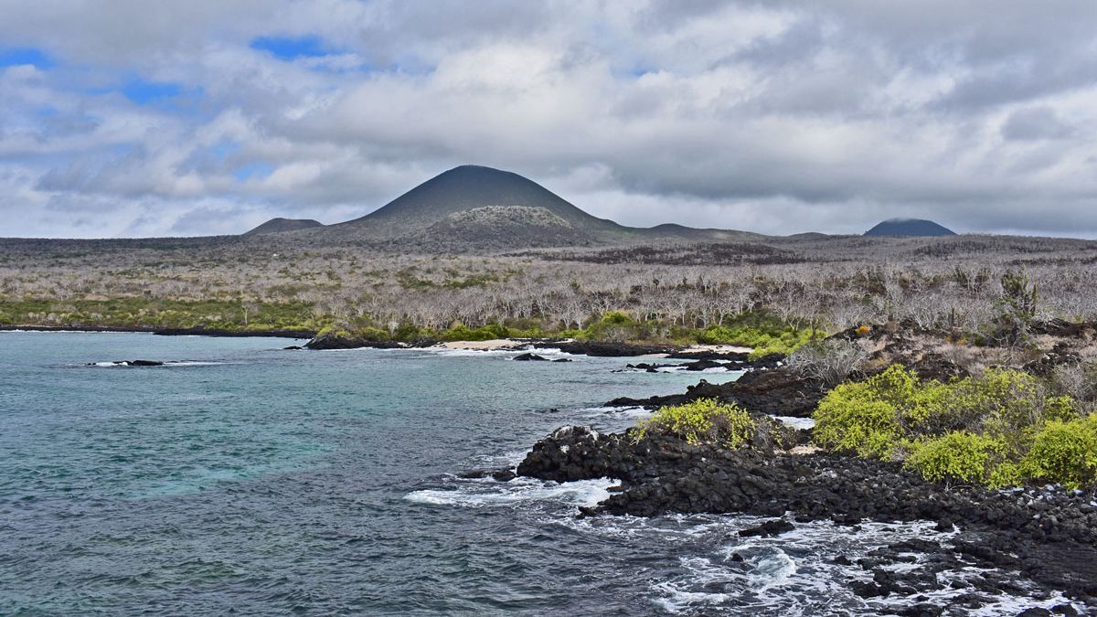 Pueblos Mágicos 6 tips para tu próximo viaje a isla Floreana