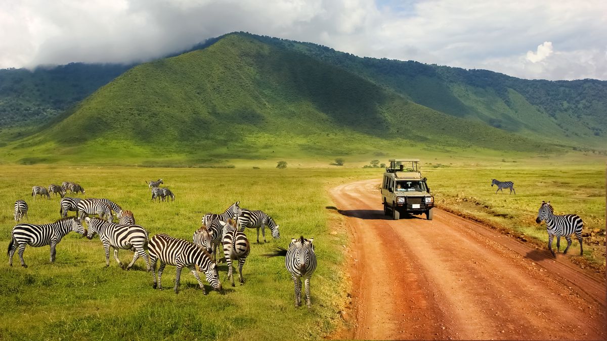 Vacaciones en África: en el Cráter de Ngorongoro encontrarás fauna silvetre excepcional y paisajes impresionantes. Vacaciones en África: en el Cráter de Ngorongoro encontrarás fauna silvetre excepcional y paisajes impresionantes.