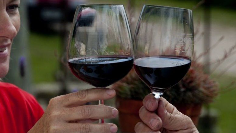 El enoturismo de Uruguay tiene un destino de referencia a nivel internacional. Tierra de vinos y quesos, el departamento de Colonia cuenta con trece bodegas abiertas a los visitantes en un radio de 200 km.