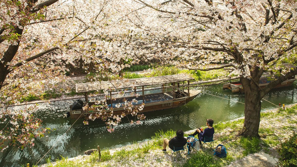 A partir del 1 de marzo de 2026, el impuesto sobre las pernoctaciones en hoteles en Kioto se multiplicará por diez en su rango más alto. A partir del 1 de marzo de 2026, el impuesto sobre las pernoctaciones en hoteles en Kioto se multiplicará por diez en su rango más alto.