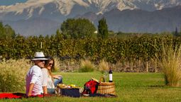 Mendoza tiene varios paseos para realizar saliendo desde su capital.