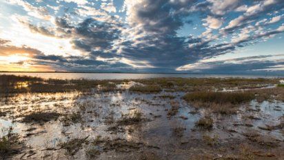 El Ansenuza, una de las recientes incorporaciones de Parques Nacionales, es hogar de las tres especies de flamenco que habitan en Sudamérica. El Ansenuza, una de las recientes incorporaciones de Parques Nacionales, es hogar de las tres especies de flamenco que habitan en Sudamérica.