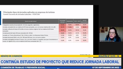 La vicepresidenta ejecutiva de Fedetur, Helen Kouyoumdjian, presentó frente a la Comisión de Trabajo del Senado.&nbsp;