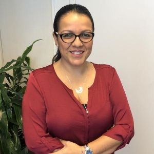 - Ladevi Medios y Soluciones