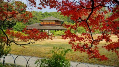 Marzo es el mes indicado para ver los cerezos en flor.