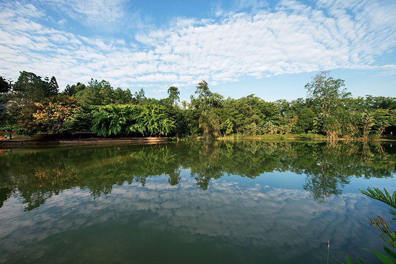 Los Jardines Botánicos, un recinto de naturaleza plena.