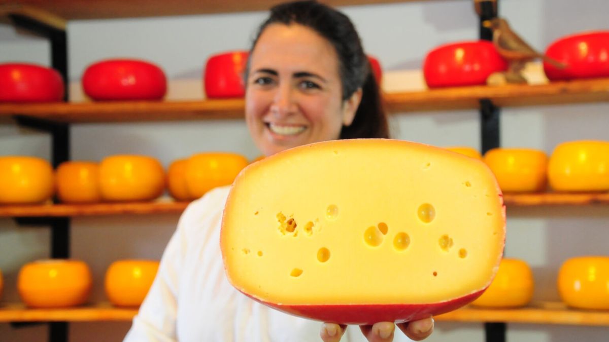 Escapadas de fin de semana largo: el evento para los amantes del queso que se puede disfrutar gratis.