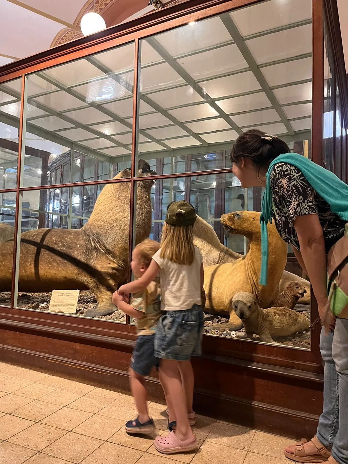 Escapadas: en La Plata el Museo de Ciencias Naturales es una visita imperdible y muy recomendable para grandes y chicos.