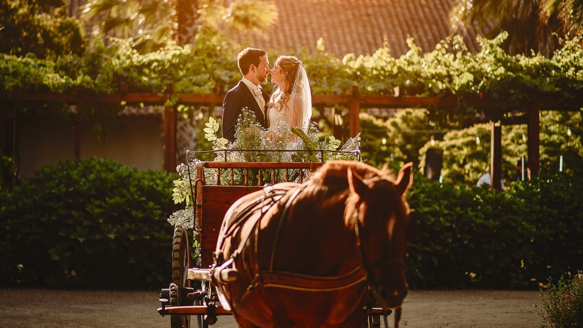 La cuarta edición del Santiago Wedding Summit se realizará en la Región de Ñuble.