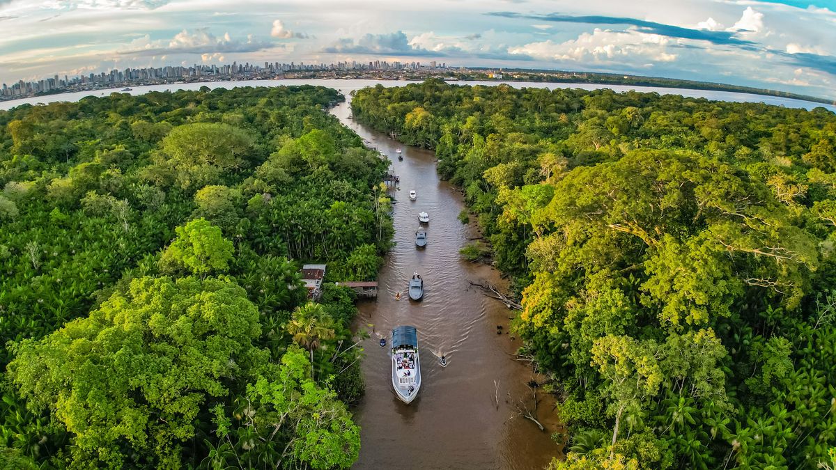 Vista aérea de la isla de Combu en Belém, Brasil