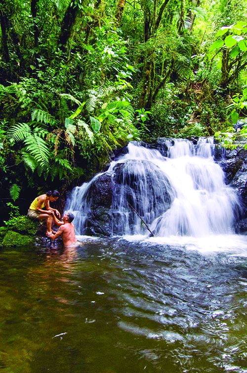 Excursión por la selva.