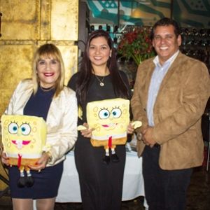 - Ladevi Medios y Soluciones