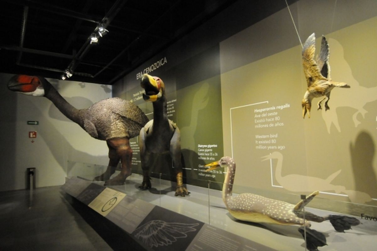 El Museo de las Aves es una parada obligada en Saltillo.&nbsp;