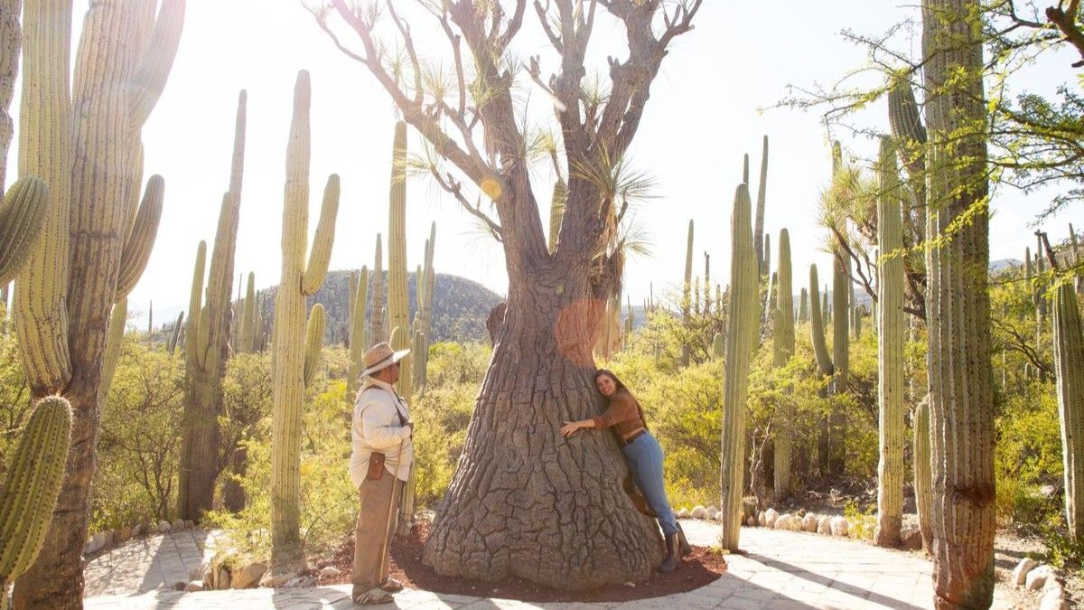 En los últimos años, Puebla ha impulsado estrategias de promoción turística más dinámicas, experiencias inmersivas y productos que conectan con el visitante.
