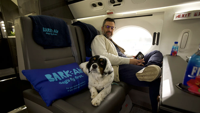 Nace Bark Air, la primera aerolínea para perros